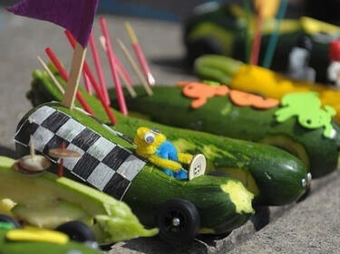 Zucchini race