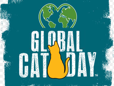 Global Cat Day