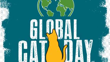 Global Cat Day