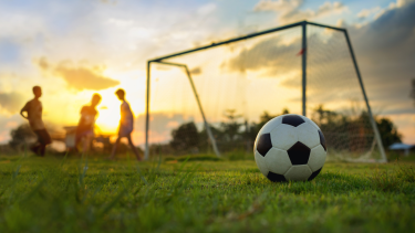 Soccer ball in front of net