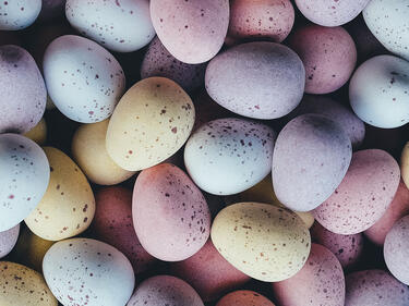 Easter Egg chocolates